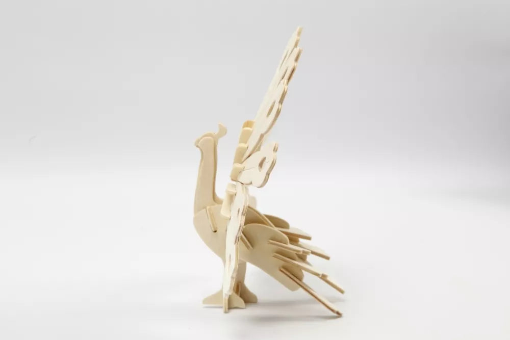 3D medinis konstruktorius, POVAS